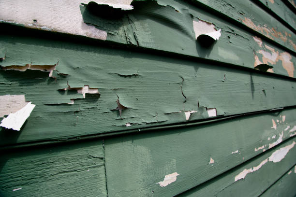 Best Residential Junk Removal  in Lake Mary, FL